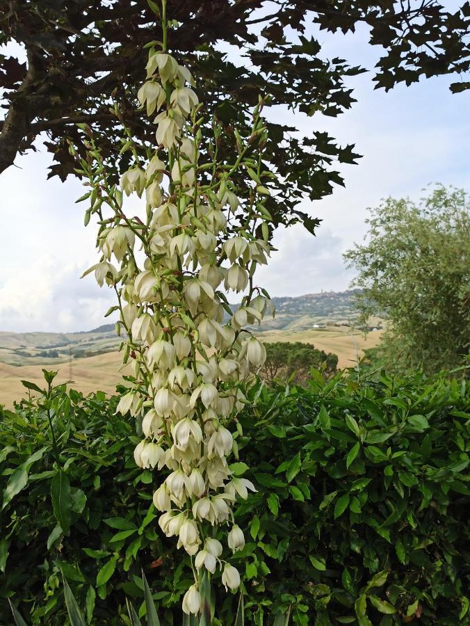 Agriturismo La Spiga Montecatini Val di Cecina Bagian luar foto