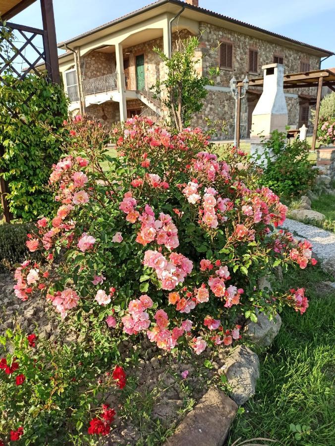 Agriturismo La Spiga Montecatini Val di Cecina Bagian luar foto