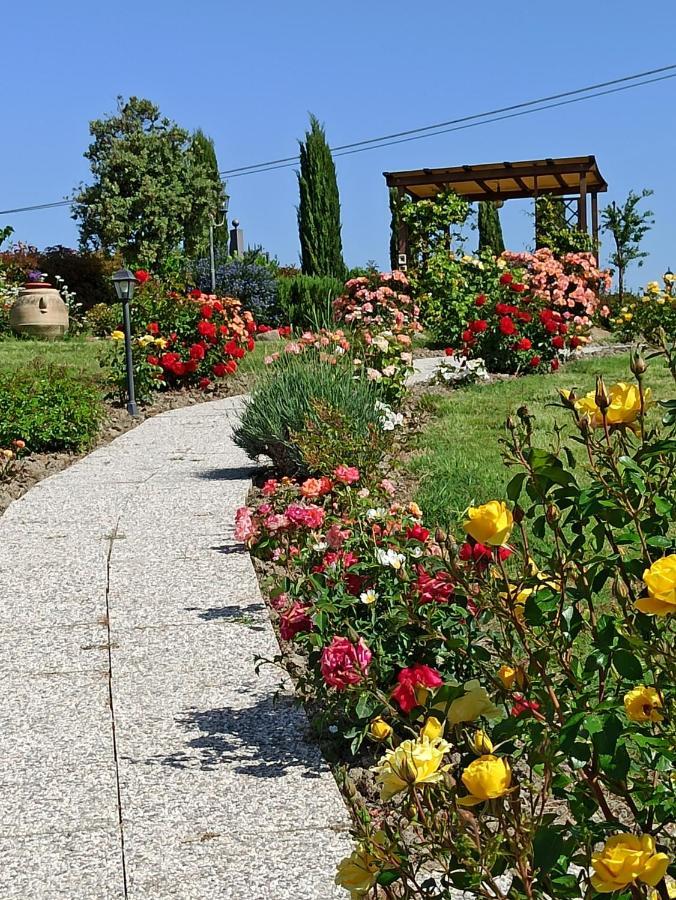 Agriturismo La Spiga Montecatini Val di Cecina Bagian luar foto