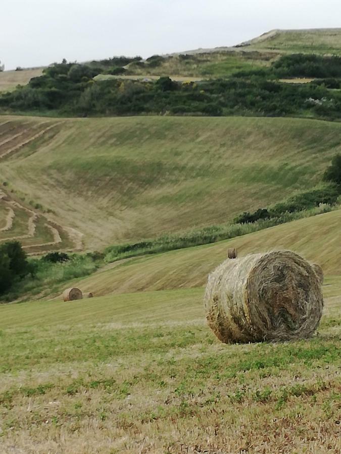 Agriturismo La Spiga Montecatini Val di Cecina Bagian luar foto